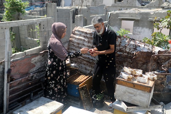 نيفين الأشقر وزوجها يعتنيان بخلية نحل نجت من الحرب فوق منزلهما المتضرر في مخيم جباليا، 18 أغسطس/آب 2026. تصوير: بلال أسامة