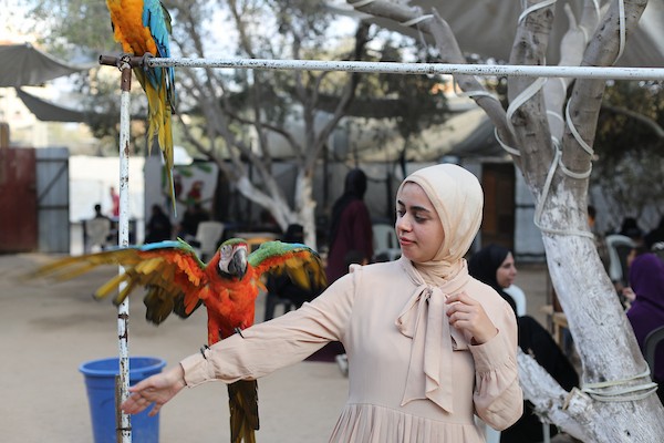 أطفال وزوار يتفاعلون مع الحيوانات داخل حديقة في مخيم النصيرات وسط قطاع غزة، فيما تعاني الحيوانات نقصاً حاداً في الغذاء والدواء والمستلزمات البيطرية، 26 أغسطس/آب 2026. تصوير: حسن الجدي.