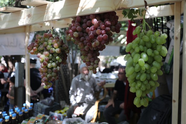 مزارعون وسكان فلسطينيون يشاركون في مهرجان «أيام العنب الخليلي» في البلدة القديمة بمدينة الخليل، في 26 سبتمبر/أيلول 2026. تصوير: مأمون وزوز.