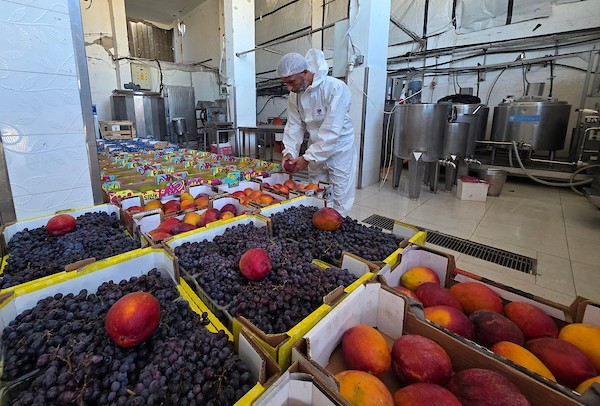 عمال فلسطينيون يواصلون العمل داخل مصنع للعصائر والآيس كريم في خان يونس، جنوب قطاع غزة، بعد استئناف الإنتاج بإمكانات محدودة(تصوير: طارق محمد)