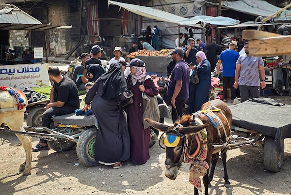 فلسطينيون يستخدمون عربات تجرها الحيوانات لنقل الأشخاص والبضائع في خان يونس، جنوب قطاع غزة، في 29 سبتمبر/أيلول 2026، وسط أزمة نقل حادة. (صورة: طارق محمد)