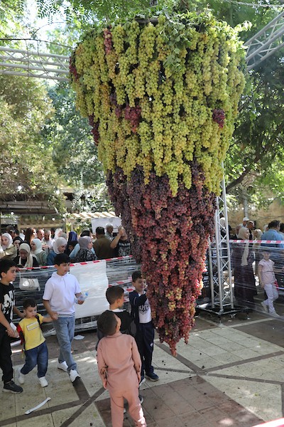 مزارعون وسكان فلسطينيون يشاركون في مهرجان «أيام العنب الخليلي» في البلدة القديمة بمدينة الخليل، في 26 سبتمبر/أيلول 2026. تصوير: مأمون وزوز.