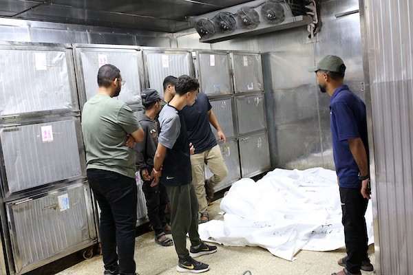 نُقلت جثث فلسطينيين، بينهم أطفال، لقوا حتفهم إثر انهيار مبنى سكني إلى مشرحة مستشفى الشفاء في مدينة غزة في 16 سبتمبر/أيلول 2026. (صورة: محمد صالحة)