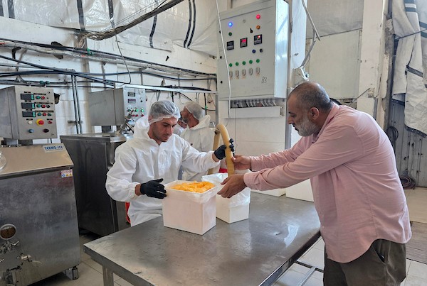 عمال فلسطينيون يواصلون العمل داخل مصنع للعصائر والآيس كريم في خان يونس، جنوب قطاع غزة، بعد استئناف الإنتاج بإمكانات محدودة(تصوير: طارق محمد)