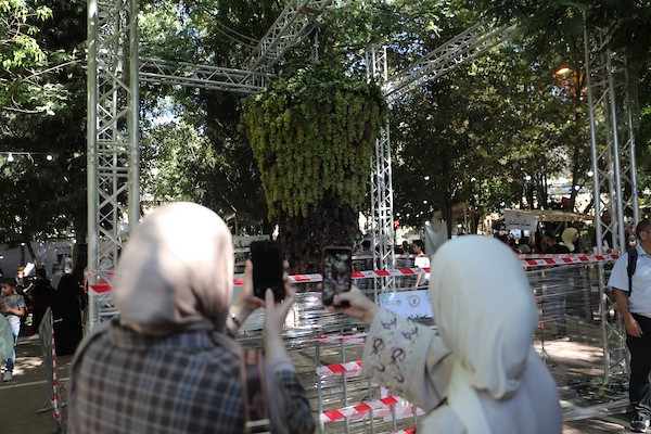 مزارعون وسكان فلسطينيون يشاركون في مهرجان «أيام العنب الخليلي» في البلدة القديمة بمدينة الخليل، في 26 سبتمبر/أيلول 2026. تصوير: مأمون وزوز.