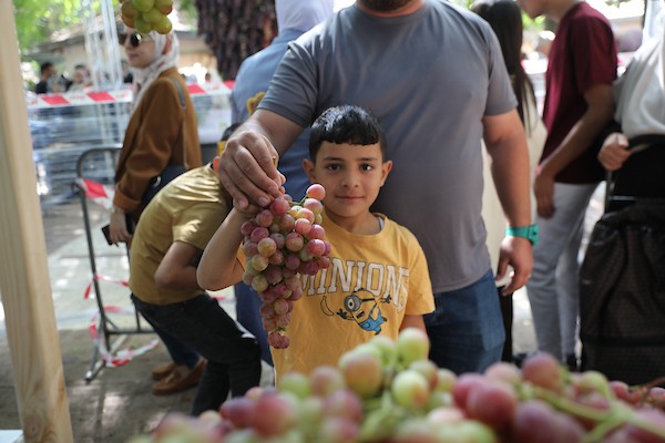 مزارعون وسكان فلسطينيون يشاركون في مهرجان «أيام العنب الخليلي» في البلدة القديمة بمدينة الخليل، في 26 سبتمبر/أيلول 2026. تصوير: مأمون وزوز.