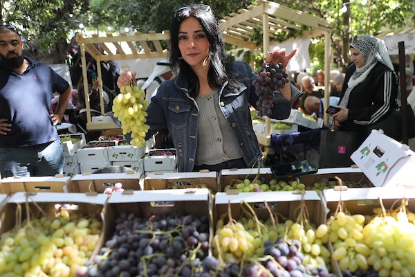 مزارعون وسكان فلسطينيون يشاركون في مهرجان «أيام العنب الخليلي» في البلدة القديمة بمدينة الخليل، في 26 سبتمبر/أيلول 2026. تصوير: مأمون وزوز.