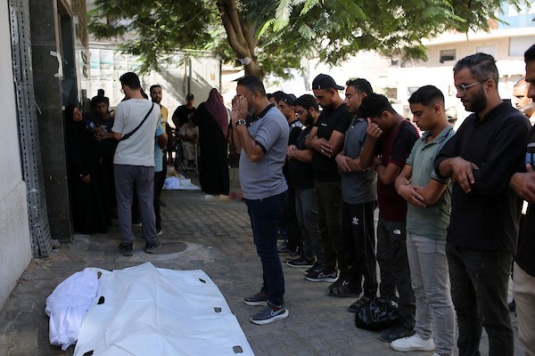 نُقلت جثث فلسطينيين، بينهم أطفال، لقوا حتفهم إثر انهيار مبنى سكني إلى مشرحة مستشفى الشفاء في مدينة غزة في 16 سبتمبر/أيلول 2026. (صورة: محمد صالحة)