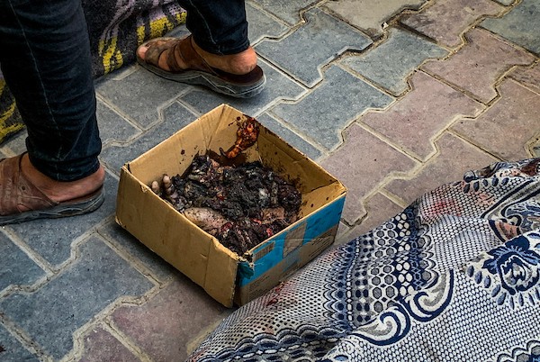 يحمل فلسطينيون جثتي شخصين إلى مستشفى الشفاء في مدينة غزة في 29 سبتمبر/أيلول 2026، عقب غارة إسرائيلية على مخيم حلاوة في جباليا.صورة: أحمد الشوا