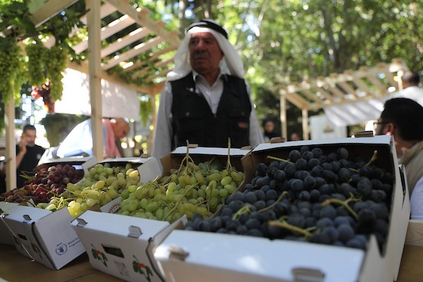 مزارعون وسكان فلسطينيون يشاركون في مهرجان «أيام العنب الخليلي» في البلدة القديمة بمدينة الخليل، في 26 سبتمبر/أيلول 2026. تصوير: مأمون وزوز.