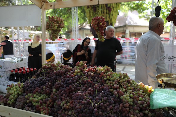 مزارعون وسكان فلسطينيون يشاركون في مهرجان «أيام العنب الخليلي» في البلدة القديمة بمدينة الخليل، في 26 سبتمبر/أيلول 2026. تصوير: مأمون وزوز.