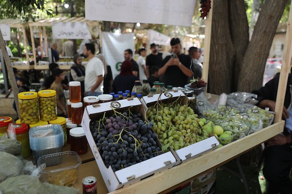 مزارعون وسكان فلسطينيون يشاركون في مهرجان «أيام العنب الخليلي» في البلدة القديمة بمدينة الخليل، في 26 سبتمبر/أيلول 2026. تصوير: مأمون وزوز.