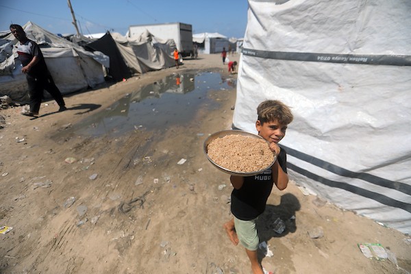 تجمع فلسطينيون نازحون لتلقي وجبات طعام من مطبخ خيري في غرب مدينة غزة، قطاع غزة، في 7 سبتمبر/أيلول 2026. (صورة: بلال أسامة)