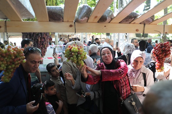 مزارعون وسكان فلسطينيون يشاركون في مهرجان «أيام العنب الخليلي» في البلدة القديمة بمدينة الخليل، في 26 سبتمبر/أيلول 2026. تصوير: مأمون وزوز.