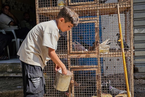 باعة فلسطينيون يستأنفون نشاطهم في سوق الحبوب التاريخي بمدينة خان يونس جنوبي قطاع غزة، في 14 أكتوبر/تشرين الأول 2026. (تصوير: طارق محمد)