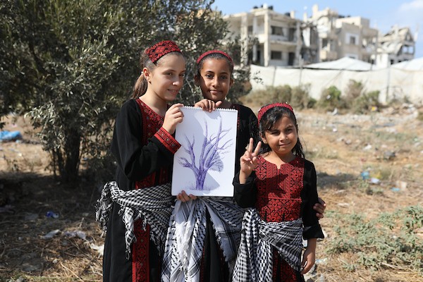 فلسطينيون يشاركون في قطف ثمار الزيتون خلال فعالية تطوعية، بمدينة غزة، في 10 أكتوبر/تشرين الأول 2026. (تصوير: بلال أسامة)