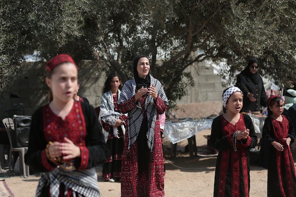 فلسطينيون يشاركون في قطف ثمار الزيتون خلال فعالية تطوعية، بمدينة غزة، في 10 أكتوبر/تشرين الأول 2026. (تصوير: بلال أسامة)