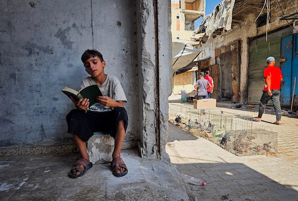 باعة فلسطينيون يستأنفون نشاطهم في سوق الحبوب التاريخي بمدينة خان يونس جنوبي قطاع غزة، في 14 أكتوبر/تشرين الأول 2026. (تصوير: طارق محمد)