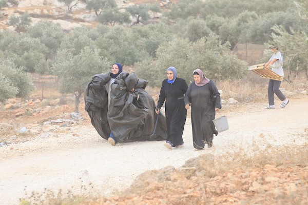 جنود إسرائيليون يلاحقون مزارعين فلسطينيين بين أشجار الزيتون خلال موسم القطاف في قرية سالم، شرق نابلس بالضفة الغربية، في 18 أكتوبر/تشرين الأول 2026.تصوير: محمد ناصر