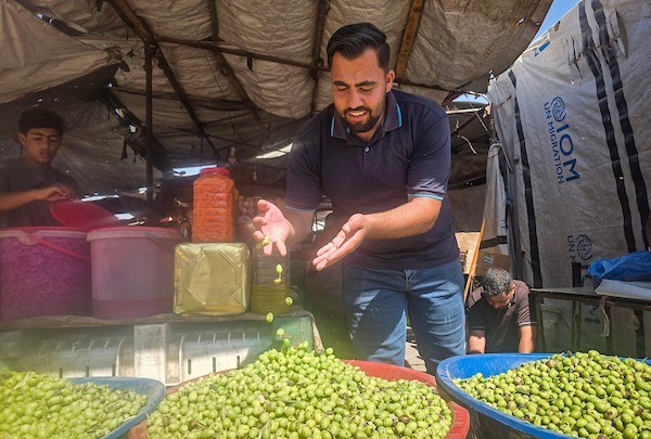 يعرض الفلسطينيون الزيتون في عدد محدود من الأكشاك المتفرقة غرب خان يونس، جنوب قطاع غزة، في 3 أكتوبر/تشرين الأول 2026. (صورة: طارق محمد)