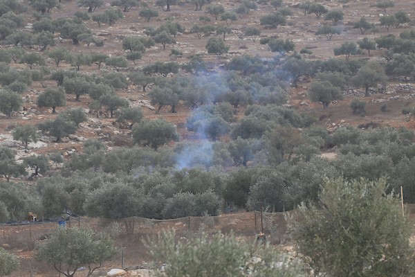 جنود إسرائيليون يلاحقون مزارعين فلسطينيين بين أشجار الزيتون خلال موسم القطاف في قرية سالم، شرق نابلس بالضفة الغربية، في 18 أكتوبر/تشرين الأول 2026.تصوير: محمد ناصر