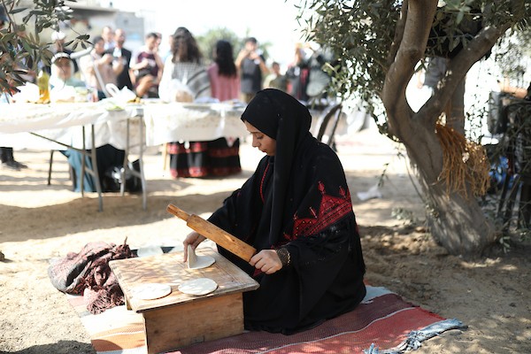 فلسطينيون يشاركون في قطف ثمار الزيتون خلال فعالية تطوعية، بمدينة غزة، في 10 أكتوبر/تشرين الأول 2026. (تصوير: بلال أسامة)