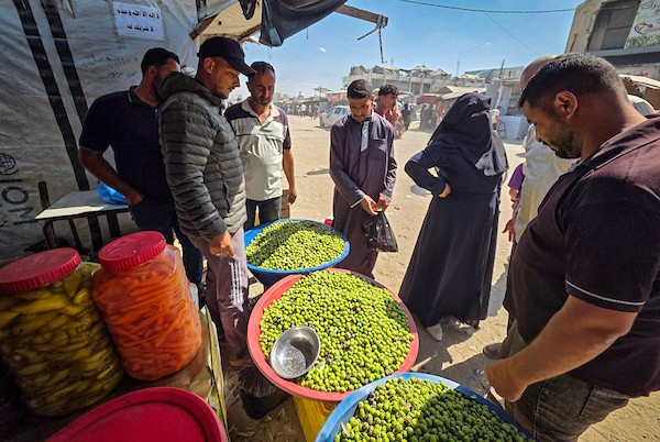 يعرض الفلسطينيون الزيتون في عدد محدود من الأكشاك المتفرقة غرب خان يونس، جنوب قطاع غزة، في 3 أكتوبر/تشرين الأول 2026. (صورة: طارق محمد)