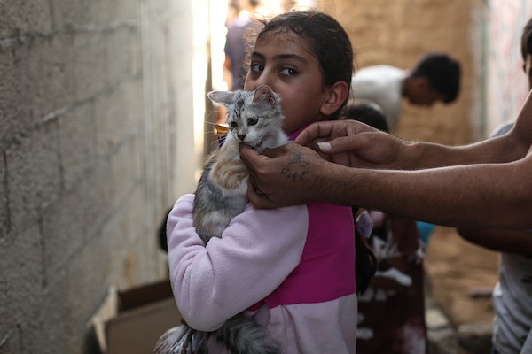 الفلسطيني أسامة فايز عفانة (33 عامًا) يقدم الطعام والرعاية الطبية مجانًا للقطط والكلاب الضالة أمام منزله في مخيم النصيرات وسط قطاع غزة، 28 أكتوبر/تشرين الأول 2026. (تصوير: حسن الجدي)