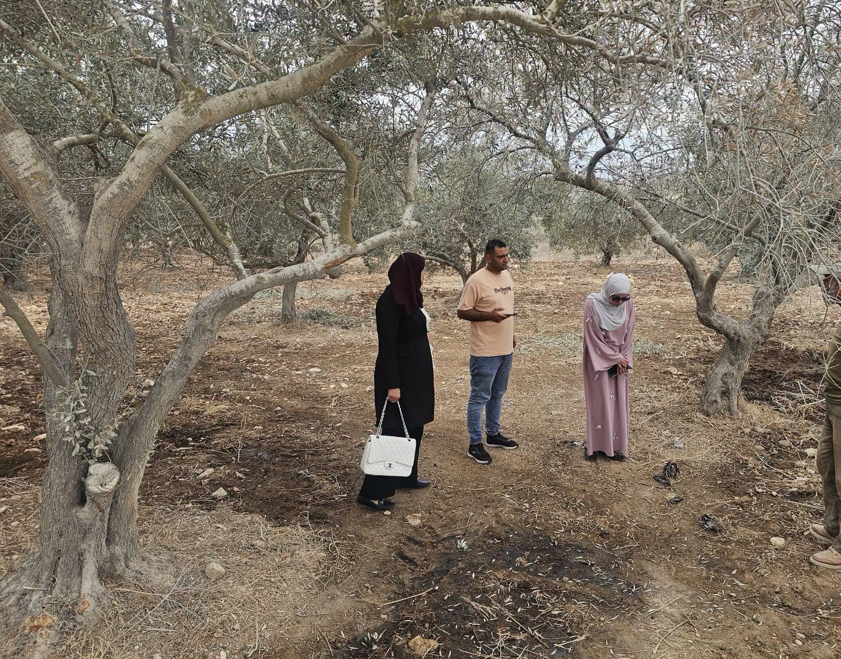 سلطة جودة البيئة تتابع مخالفات وشكاوى بيئية