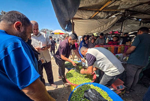 يعرض الفلسطينيون الزيتون في عدد محدود من الأكشاك المتفرقة غرب خان يونس، جنوب قطاع غزة، في 3 أكتوبر/تشرين الأول 2026. (صورة: طارق محمد)