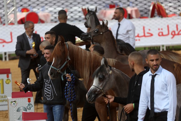 استعرض فلسطينيون خيولاً عربية أصيلة خلال بطولة خليل الرحمن الدولية لجمال الخيول العربية في مدينة الخليل في الأول من أكتوبر/تشرين الأول 2026.تصوير: مأمون وزواز