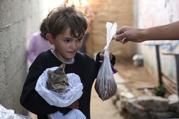 الفلسطيني أسامة فايز عفانة (33 عامًا) يقدم الطعام والرعاية الطبية مجانًا للقطط والكلاب الضالة أمام منزله في مخيم النصيرات وسط قطاع غزة، 28 أكتوبر/تشرين الأول 2026. (تصوير: حسن الجدي)