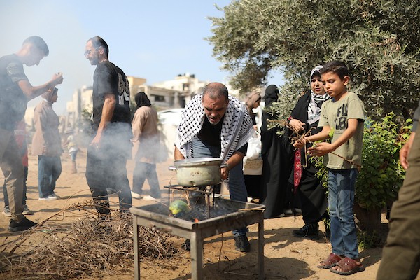 فلسطينيون يشاركون في قطف ثمار الزيتون خلال فعالية تطوعية، بمدينة غزة، في 10 أكتوبر/تشرين الأول 2026. (تصوير: بلال أسامة)
