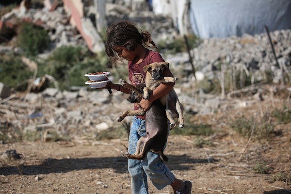 الفلسطيني أسامة فايز عفانة (33 عامًا) يقدم الطعام والرعاية الطبية مجانًا للقطط والكلاب الضالة أمام منزله في مخيم النصيرات وسط قطاع غزة، 28 أكتوبر/تشرين الأول 2026. (تصوير: حسن الجدي)