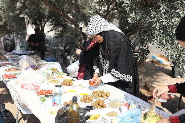 فلسطينيون يشاركون في قطف ثمار الزيتون خلال فعالية تطوعية، بمدينة غزة، في 10 أكتوبر/تشرين الأول 2026. (تصوير: بلال أسامة)