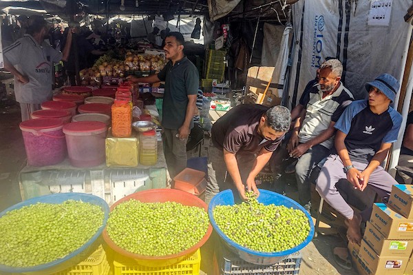 يعرض الفلسطينيون الزيتون في عدد محدود من الأكشاك المتفرقة غرب خان يونس، جنوب قطاع غزة، في 3 أكتوبر/تشرين الأول 2026. (صورة: طارق محمد)