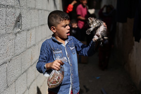 الفلسطيني أسامة فايز عفانة (33 عامًا) يقدم الطعام والرعاية الطبية مجانًا للقطط والكلاب الضالة أمام منزله في مخيم النصيرات وسط قطاع غزة، 28 أكتوبر/تشرين الأول 2026. (تصوير: حسن الجدي)