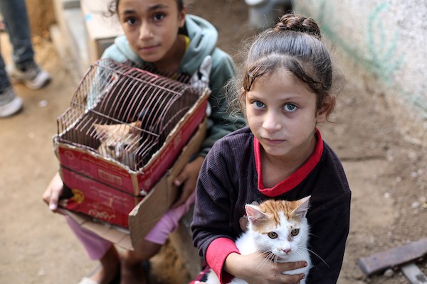 الفلسطيني أسامة فايز عفانة (33 عامًا) يقدم الطعام والرعاية الطبية مجانًا للقطط والكلاب الضالة أمام منزله في مخيم النصيرات وسط قطاع غزة، 28 أكتوبر/تشرين الأول 2026. (تصوير: حسن الجدي)