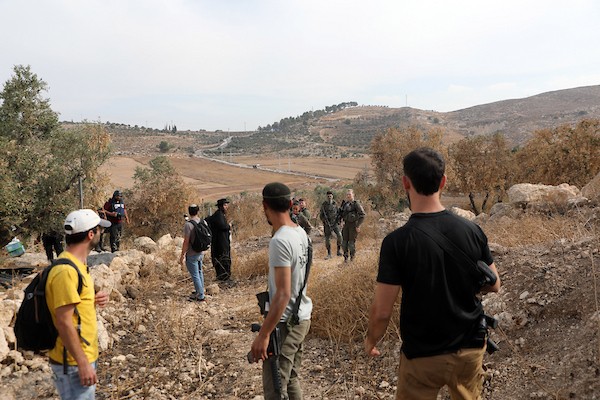 فلسطينيون ونشطاء سلام دوليون يشاركون في قطف الزيتون ببلدة إذنا غرب الخليل، في 13 أكتوبر/تشرين الأول 2026. (تصوير: مأمون وزواز)