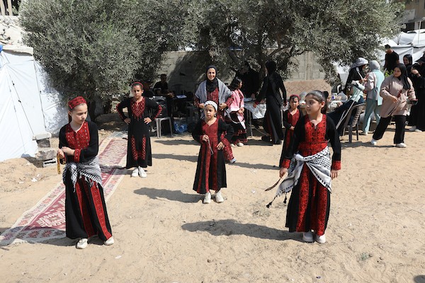 فلسطينيون يشاركون في قطف ثمار الزيتون خلال فعالية تطوعية، بمدينة غزة، في 10 أكتوبر/تشرين الأول 2026. (تصوير: بلال أسامة)