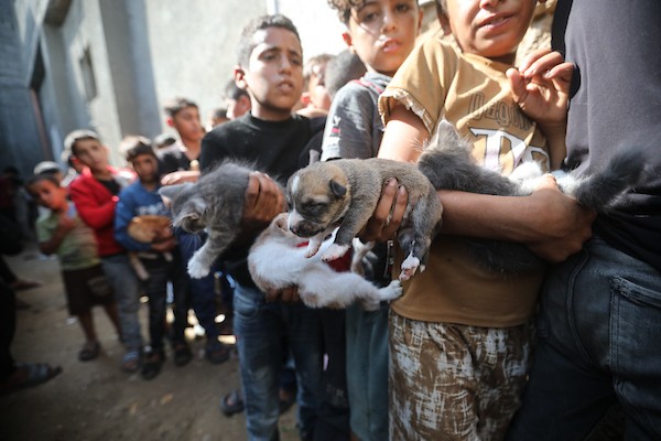 الفلسطيني أسامة فايز عفانة (33 عامًا) يقدم الطعام والرعاية الطبية مجانًا للقطط والكلاب الضالة أمام منزله في مخيم النصيرات وسط قطاع غزة، 28 أكتوبر/تشرين الأول 2026. (تصوير: حسن الجدي)