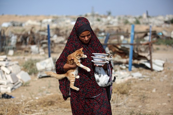 الفلسطيني أسامة فايز عفانة (33 عامًا) يقدم الطعام والرعاية الطبية مجانًا للقطط والكلاب الضالة أمام منزله في مخيم النصيرات وسط قطاع غزة، 28 أكتوبر/تشرين الأول 2026. (تصوير: حسن الجدي)