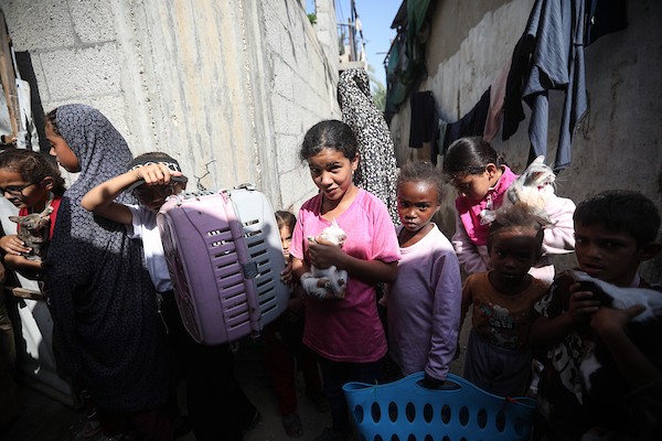 الفلسطيني أسامة فايز عفانة (33 عامًا) يقدم الطعام والرعاية الطبية مجانًا للقطط والكلاب الضالة أمام منزله في مخيم النصيرات وسط قطاع غزة، 28 أكتوبر/تشرين الأول 2026. (تصوير: حسن الجدي)