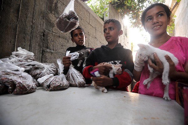 الفلسطيني أسامة فايز عفانة (33 عامًا) يقدم الطعام والرعاية الطبية مجانًا للقطط والكلاب الضالة أمام منزله في مخيم النصيرات وسط قطاع غزة، 28 أكتوبر/تشرين الأول 2026. (تصوير: حسن الجدي)
