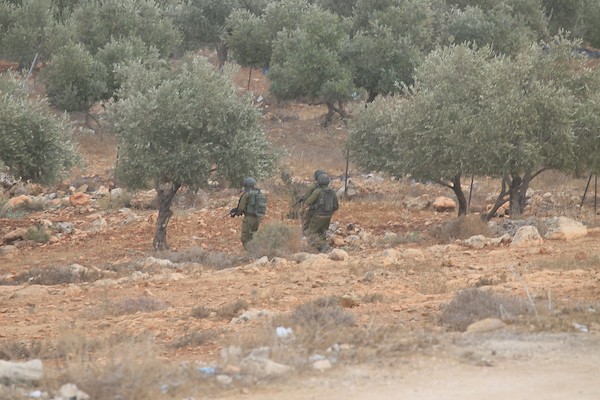 جنود إسرائيليون يلاحقون مزارعين فلسطينيين بين أشجار الزيتون خلال موسم القطاف في قرية سالم، شرق نابلس بالضفة الغربية، في 18 أكتوبر/تشرين الأول 2026.تصوير: محمد ناصر
