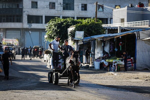 فلسطينيون نازحون يواصلون حياتهم اليومية داخل مدرسة حُوّلت إلى مأوى مؤقت في مدينة غزة، في الذكرى الثالثة لاندلاع الحرب، 7 أكتوبر/تشرين الأول 2026. تصوير: بلال أسامة.