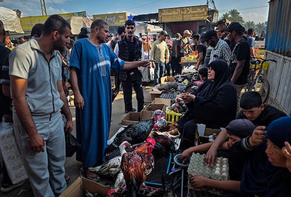 يعرض مربّو الطيور والدواجن طيورهم ودواجنهم في سوق أسبوعي في مواصي خان يونس، جنوب قطاع غزة، في الأول من أكتوبر/تشرين الأول 2026.(صورة: طارق محمد)