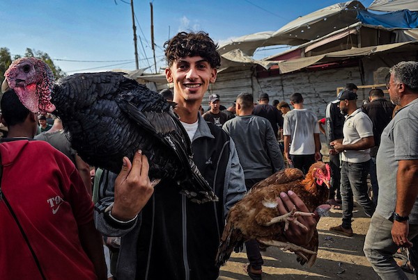 يعرض مربّو الطيور والدواجن طيورهم ودواجنهم في سوق أسبوعي في مواصي خان يونس، جنوب قطاع غزة، في الأول من أكتوبر/تشرين الأول 2026.(صورة: طارق محمد)