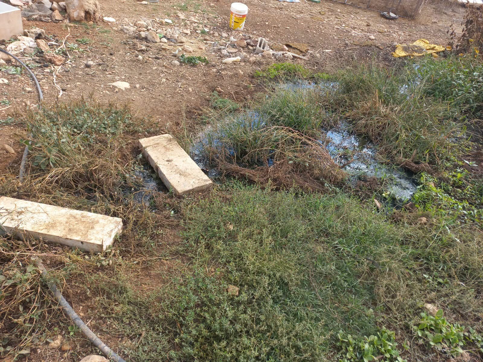 سلطة جودة البيئة تتابع مخالفات وشكاوى بيئية